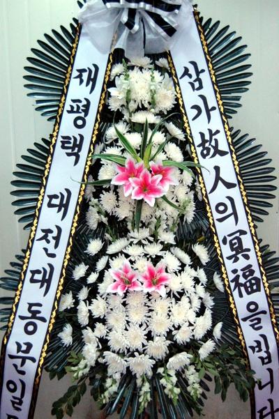 ������ �����뵿���ϵ�