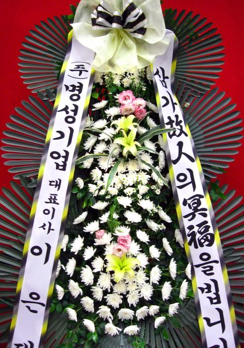 (��)�������