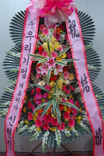 �츮���