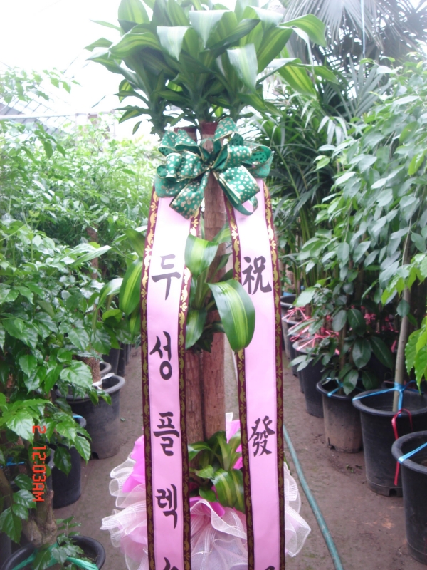�μ��÷���