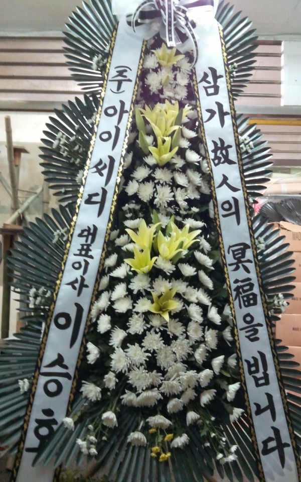 (��)����**