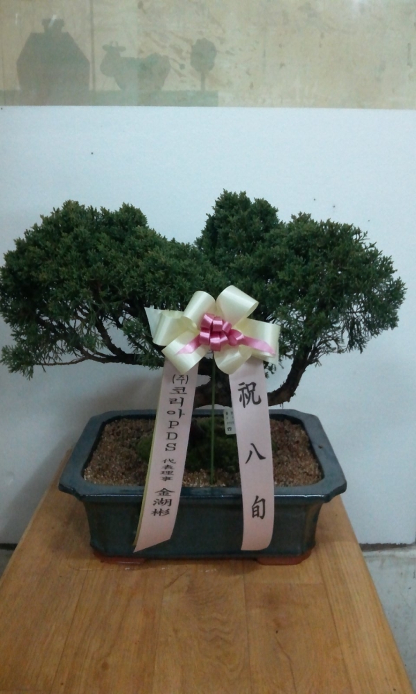 (��)�ڸ�****