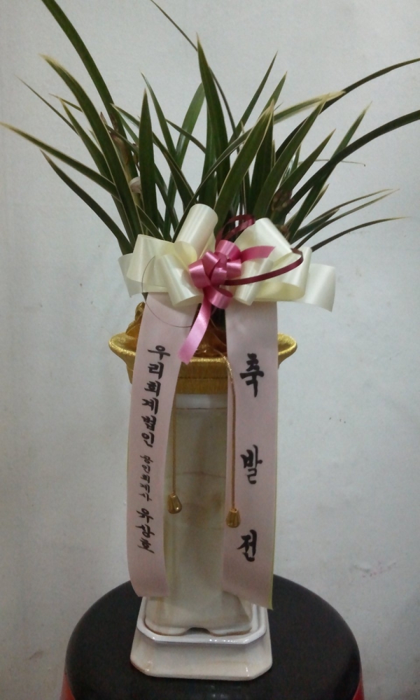 �츮****
