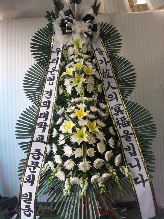 �츮**********